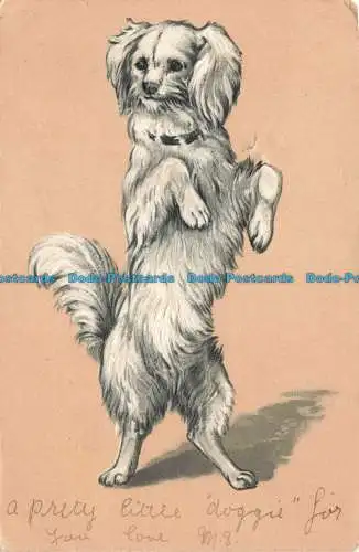 R669748 Hund. P. F. B. Postkarte. 1902