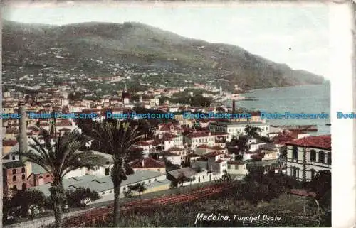 R671194 Madeira. Funchal Oeste