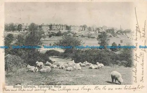 R671355 Tunbridge Wells. Berg Ephraim. 1903