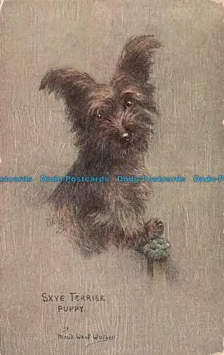 R670799 Skye Terrier Welpe. Skizzen von Doggies. stecken. Ölfaksim. O.F. 9681