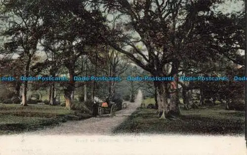 R671656 New Forest. Straße nach Minstead. F. G. O. Stuart