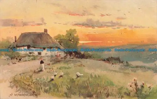 R671989 Dorset. Nr. Wimborne. Meissner und Buch. 1905