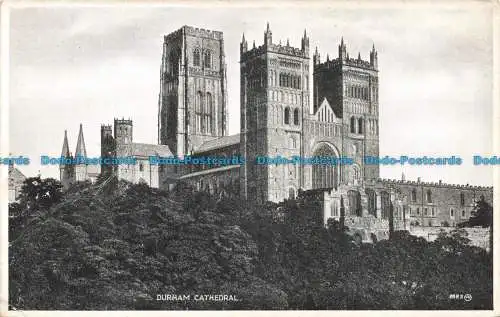 R672931 Durham Cathedral. Valentinstag. Silveresque