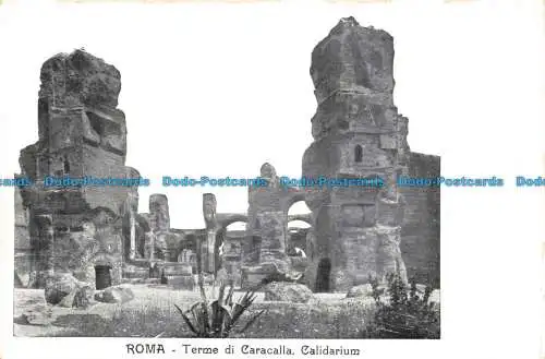 R672447 Roma. Terme di Caracalla. Calidarium