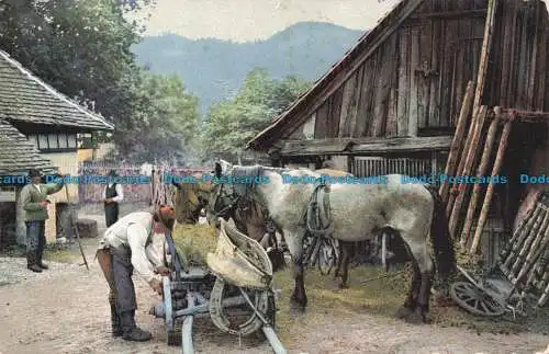 R673190 Das Dorf. N. und D. Photochromie