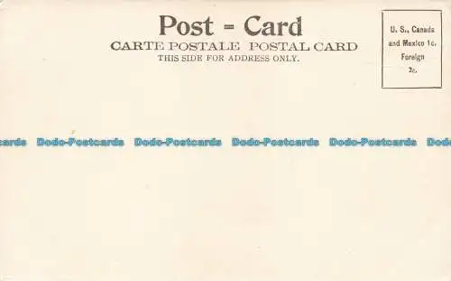 R673526 Das Dampfschiff beobachten. A. Selige Souvenir Postkarte