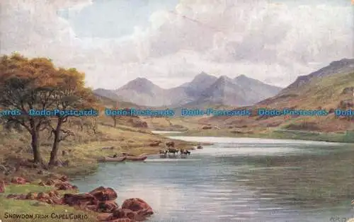 R673926 Snowdon von Capel Curig. J. Salmon. A. R. Quinton