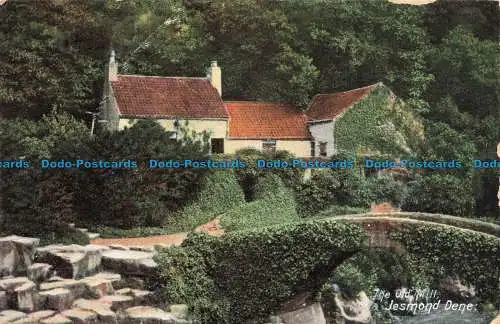 R674542 Jesmond Dene. Die alte Mühle. Braun und Rawcliffe