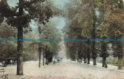 R674132 Southampton. The Avenue. 1904