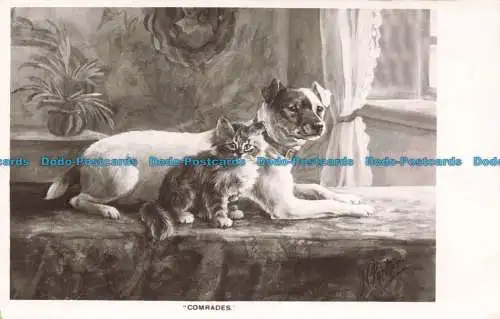 R674684 Kameraden. Nancy Parker Hunde. E. W. Bohnenkraut. Clifton Postkarten. Emailleett