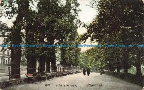 R675197 Richmond. Die Terrasse. Postkarte. 1905