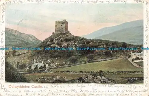 R675263 Dolwyddelen Castle. Pfau. 1903