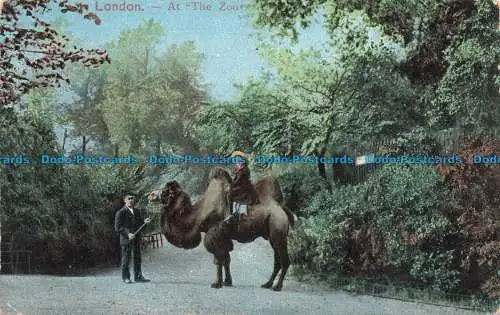 R674841 London. im Zoo. E.F.A. Serie 521. 1905