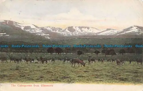 R674857 The Cairngorms aus Glenmore. G. W. W. 1905