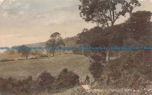 R674378 Lyme Regis. The Cliff Walk. 1914