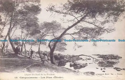 R674383 Carqueiranne. Les Pins. Ligne du Sud de la France. 1910