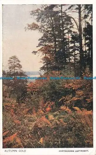 R676422 Autumn Gold. Photochrom. Serie Celesque. Nr. 651. 1918