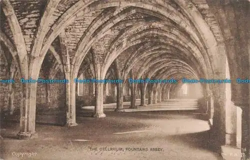 R675012 Fountains Abbey. Das Cellarium. Lilywhite