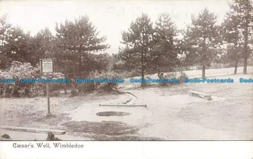 R677135 Wimbledon. Caesar Well. Postkarte