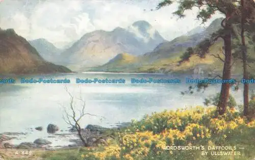 R676662 von Ullswater. Wordsworth Narzissen. Valentinstag. Kunstfarbe. E. H. Thompso