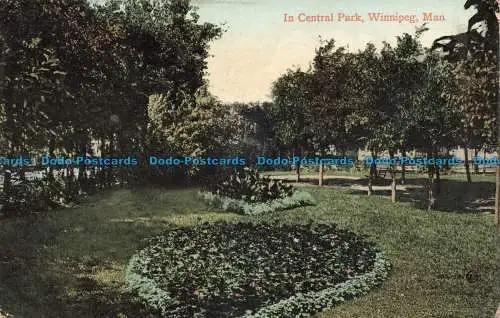 R677194 Man. Winnipeg. im Central Park. Valentinstag. 1911