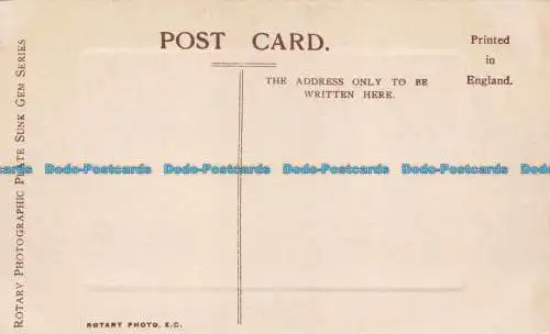 R677274 Up a Tree. Rotary Photographic Plate Sunk Gem Series