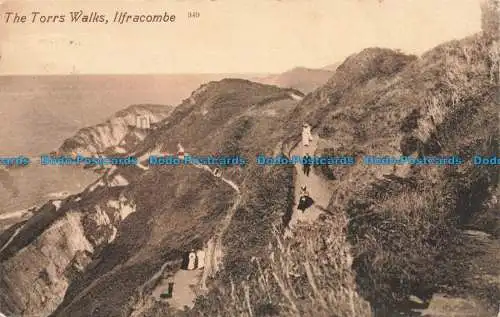 R678212 Ilfracombe. The Torrs Walks. Twiss Bros. 1911