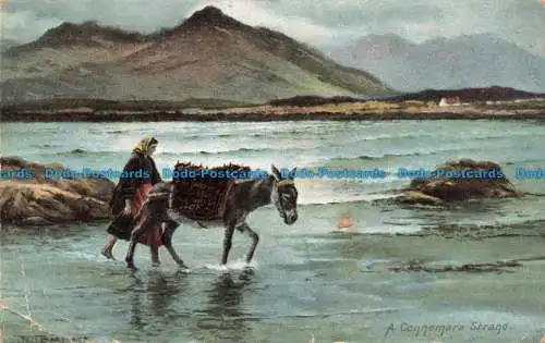 R675887 A Connemara Strand