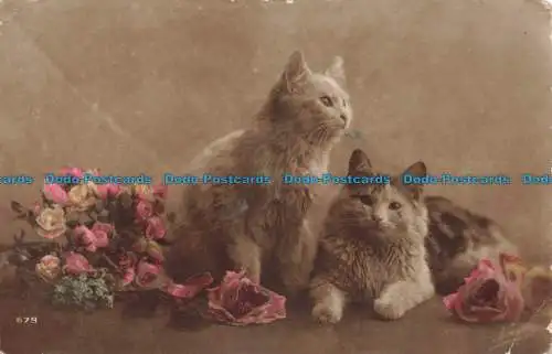 R677389 Grußkarte. Zwei Katzen. 1918