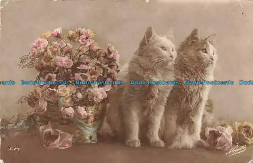 R677391 Grußkarte. Zwei Katzen. Blumen im Korb. 1918