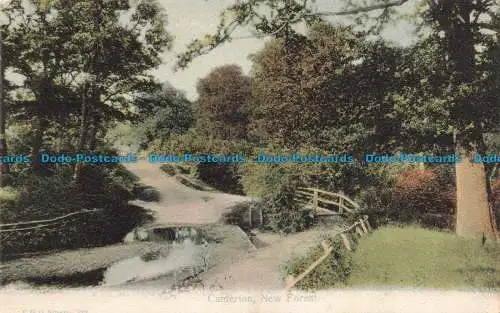 R675967 New Forest. Canterton. F. G. O. Stuart. 1905