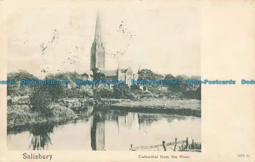 R675996 Salisbury. Kathedrale vom Fluss. Pfau