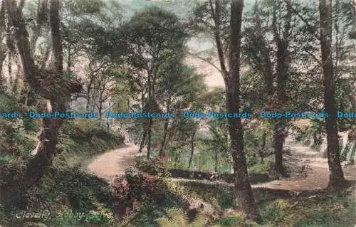 R677472 Clovelly. Hobby Drive. F. Frith. 1906