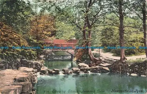 R677596 Newcastle on Tyne. Jesmond Dene. Trittsteine. 1906