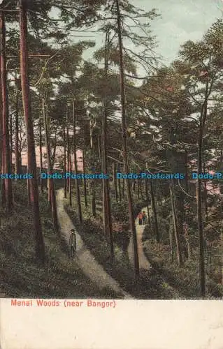 R678524 Menai Woods bei Bangor. Postkarte. 1911