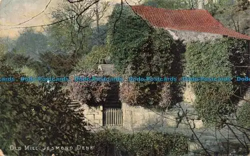 R678609 Jesmond Dene. Alte Mühle. Postkarte