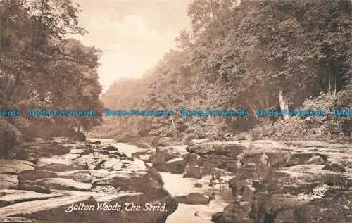 R677718 Bolton Woods. The Strid. F. Frith. Nr. 18533