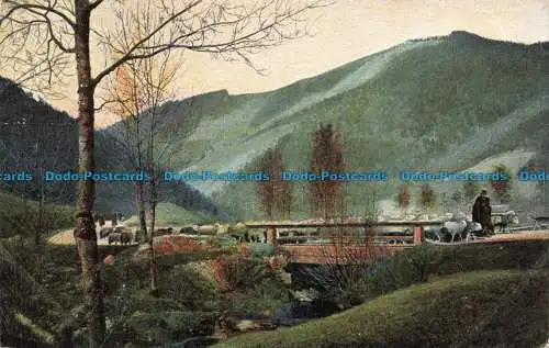 R678722 Im Reichenbachthale. D.T.C. Serie 286. 1904