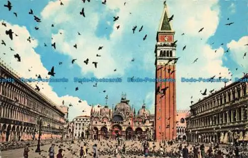 R677837 Venezia. Markusplatz und Flugtauben