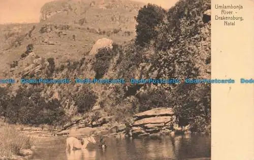 R678882 Natal. Drakensburg. Fluss Umlambonja. A. Rittenberg