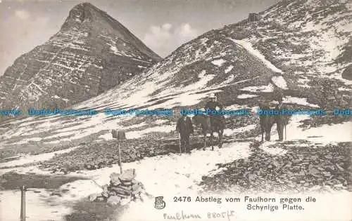 R678945 Abstieg vom Faulhorn gegen die Schynige Platte. Franco Suisse