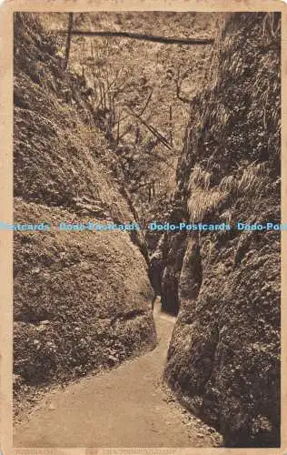 R168008 Eisenach. Die Drachenschlucht. Carl Jagemann