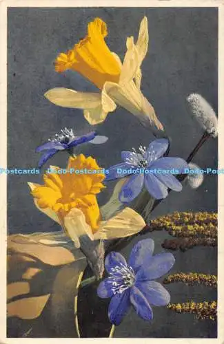 R168268 2491. Fruchtlingsblumen. Fleurs bedruckt. Frühlingsblumen. E. Gyger und