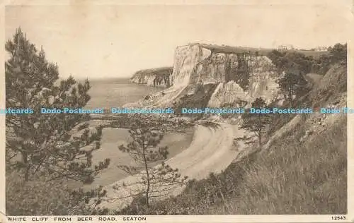 R168383 White Cliff von der Beer Road. Seaton. Lachs. Nr 12543