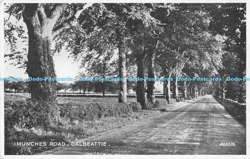 R169234 Munches Road. Dalbeattie. 223576. Foto braun. Valentinstag