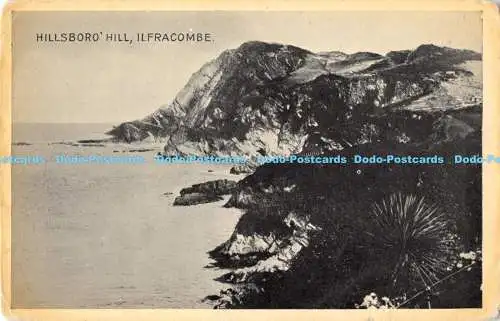 R169268 Hillsboro Hill. Ilfracombe