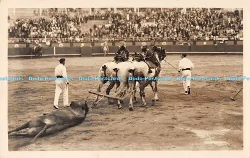 R169996 El arrastre. Le taureau entraine par les chevaux. Galarza