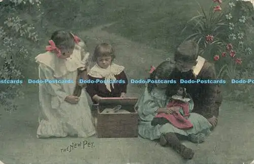 R170549 Das neue Haustier. Kinder spielen. Wohnbild. 1907