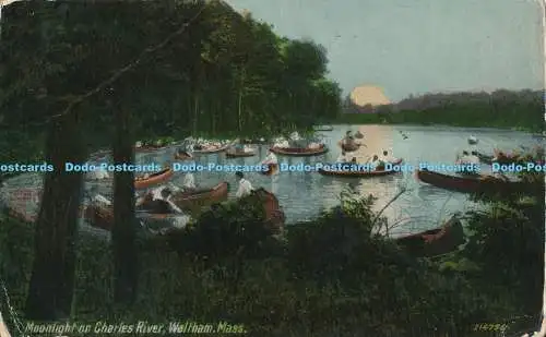 R170071 Moonlight on Charles River. Waltham. Masse. Leighton und Valentine