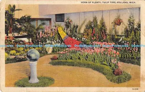 R170616 Horn of Plenty. Tulpenzeit. Holland. Mich. C. T. Art Colortone. 1935